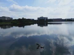 -四川大学(江安校区)