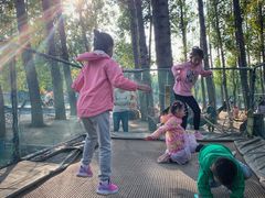 -东方巨龟苑景区