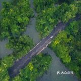 还在网上找背景？自己画试试看！