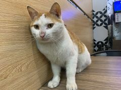 -牛纽塔·牛人堡(群众路店)