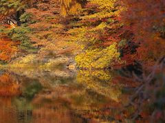 -庐山风景区花径公园