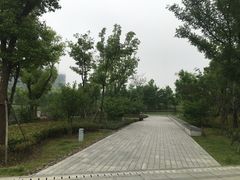 -南翔镇银翔湖公园