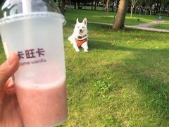 -卡旺卡(合肥天鹅湖置地广场店)