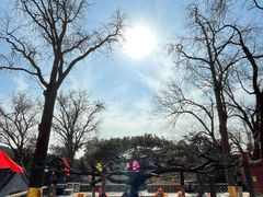 -泰山风景名胜区-普照寺
