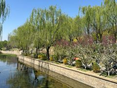 -元大都城垣遗址公园