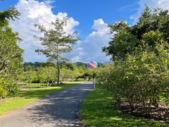 -中国科学院西双版纳热带植物园