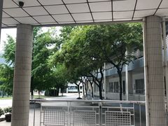 -金陵中学(河西分校)