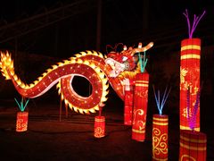 -南宫五洲植物乐园