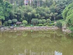 -龙头寺公园