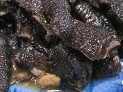 -晓林火锅(安定门店)
