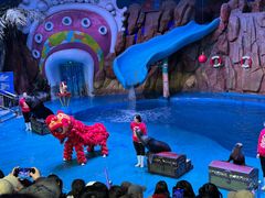 -烟台海昌鲸鲨海洋公园