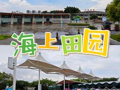 -海上田园