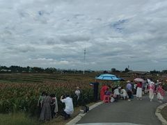 -三圣花乡旅游区