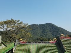-鼎湖山风景区