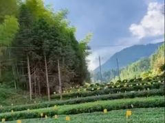 -陆地游轮吉林神农温泉