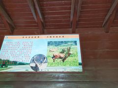 -北京麋鹿生态实验中心