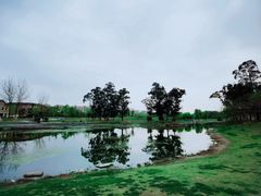 -两河城市森林公园