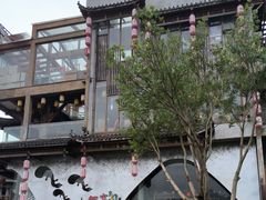 -印象鲵宴·张家界地标美食名片(溪布街店)