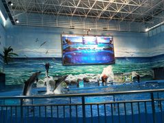 -多彩贵州城极地海洋世界