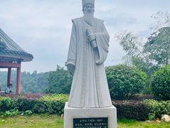 -江西阳明山国家森林公园