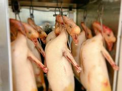 -上水酒家(信德分店)