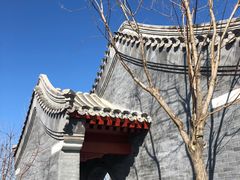 -张家湾公园