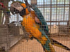 -南宫五洲植物乐园