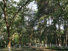 -窨子山古文化遗址