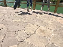 -老城红焖羊肉(人民路店)
