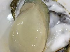 -蚝专家(北滘店)