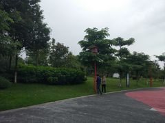 -眉山湿地公园(东坡区)