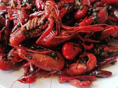 -齐河孔雀王温泉酒店·金孔雀自助百汇