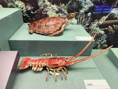 -上海中国航海博物馆