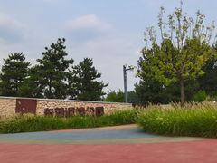 -东郊湿地公园