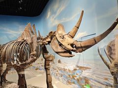 -国家自然博物馆