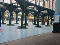 -海合安成都极地海洋公园
