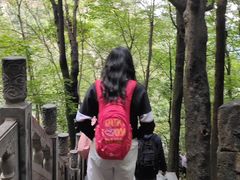 -洛阳白云山景区