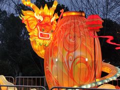 -武汉园博园(武汉自然博物馆)