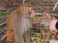 -武汉紫薇都市田园