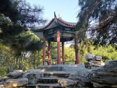 -丰台花园