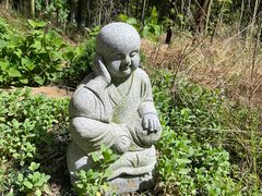 -东明山森林公园