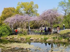-蠡湖大桥公园