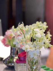 -花隐·美芙炫海菲秀皮肤管理中心