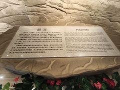 -白鹤梁水下博物馆