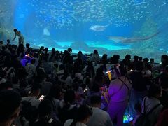 -海合安成都极地海洋公园