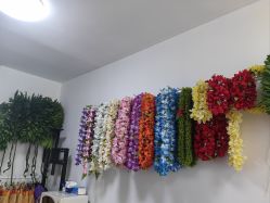 -呼拉汇舞蹈生活馆 Hawaii Hula&Tahiti Dance Studio