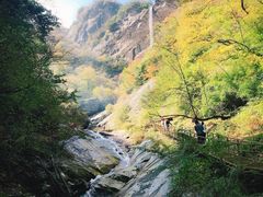 -青峰峡国家森林公园