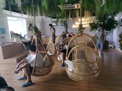 -Husky Go! 哈士奇体验馆·宠物咖啡厅狗咖