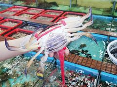 -景好海鲜餐厅(大鹏必选旅游店)