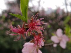-百林公园-两江幸福广场